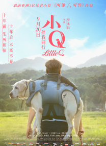 麻豆传媒免费在线观看